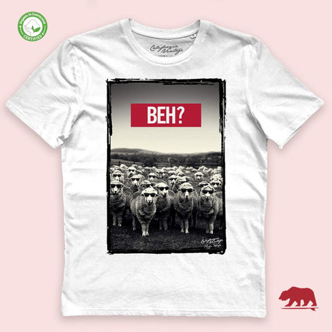 BEH T-shirt?